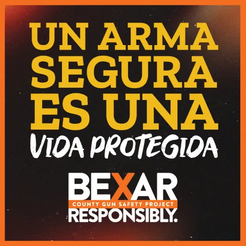 Un Arma Segura es Una Vida Protegida