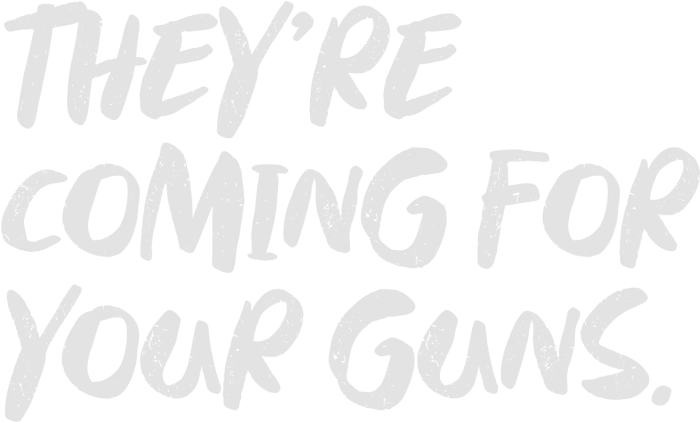 They're coming for your guns.